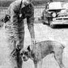 Freel Mullins became Dickenson County’s first dog warden in July, 1958. According to the original caption of the photo, he was “checking Rip, a boxer belonging to  Harold Arrington of Clintwood.  Rip’s tag was ok.”  The photo was found in the August 31, 1958, issue of The Bristol Herald Courier.